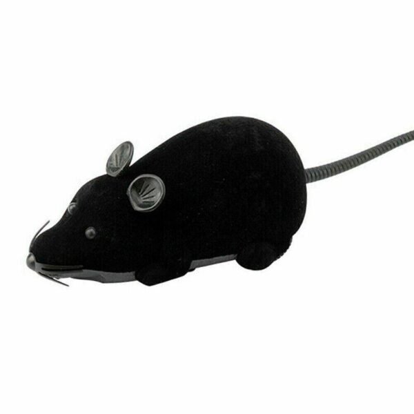 s-l1600_12_0b9d5fd0-80aa-4888-a267-d5b92e411dbc.jpg Pet Cat Puppy Toy Wireless Remote Control Electronic Rat Mouse Mice Toys Stock