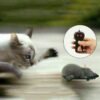 s-l1600_3_670c71f7-17bd-4fbe-af18-527e5dcad9d3.jpg Pet Cat Puppy Toy Wireless Remote Control Electronic Rat Mouse Mice Toys Stock